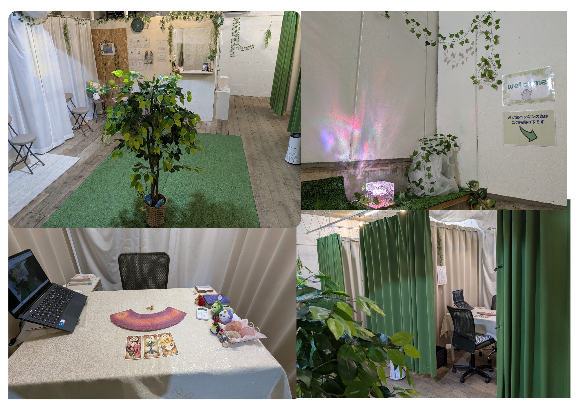 占い館ペンギンの森の内部写真4パターン